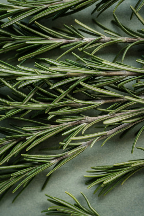 Rosemary