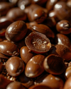 Argania Spinosa (Argan) Kernel Oil